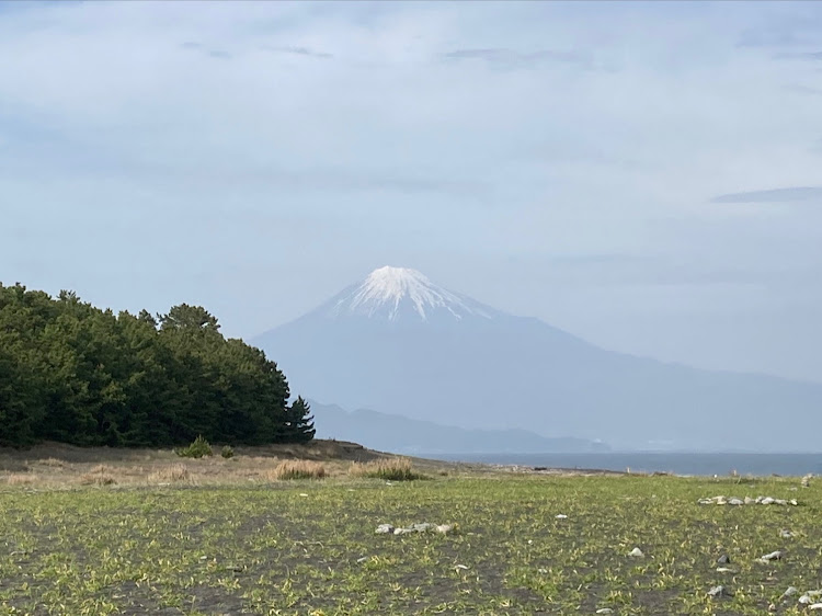 の投稿画像3枚目