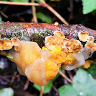 Witch's Butter