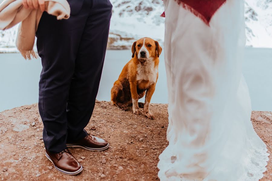 Photographe de mariage Deborah Dantzoff (dantzoff). Photo du 28 mai 2017