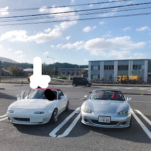 ロードスター NB6C