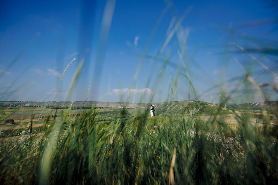 Hochzeitsfotograf Andrei Danila (adanila). Foto vom 8. Juni 2019