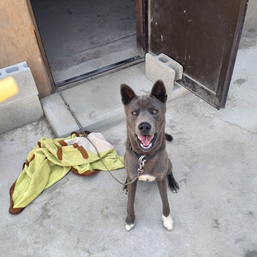 熊吉のプロフィール画像