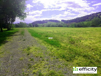 terrain à Salies-de-bearn (64)