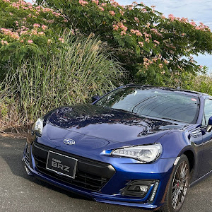 BRZ ZC6