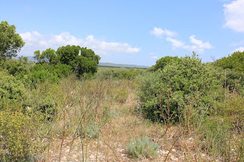 terrain à Bonifacio (2A)