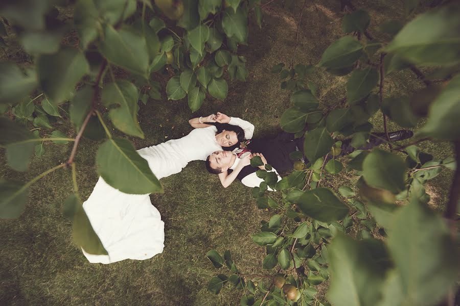 Düğün fotoğrafçısı Aleksey Shuklin (ashuklin). 19 Ağustos 2015 fotoları