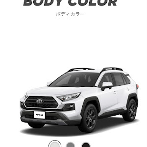 RAV4 MXAA54