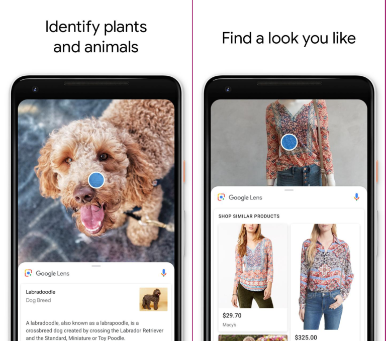 visual search