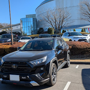 RAV4 MXAA54