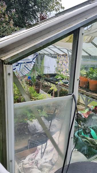 Greenhouse repairs in Oadby album cover