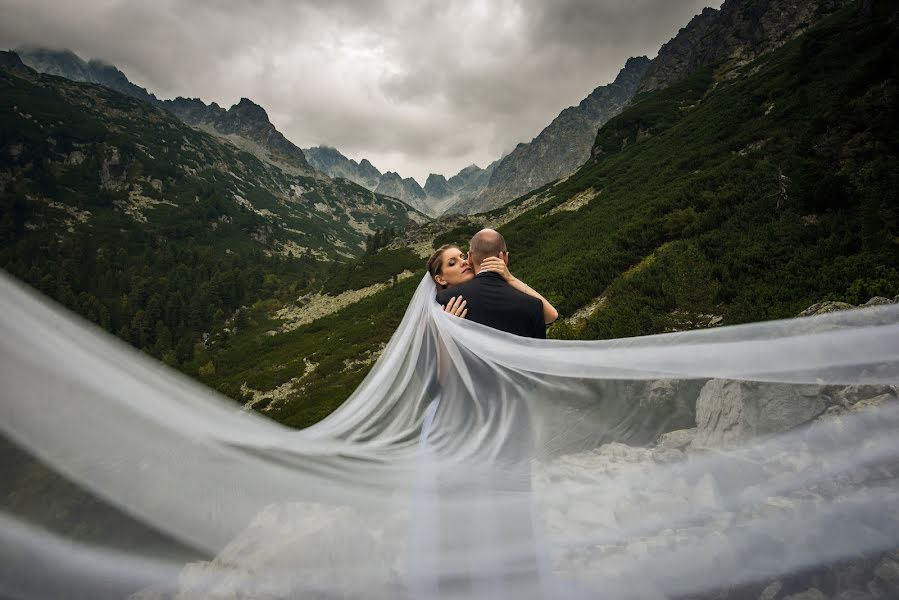 Wedding photographer Bence Pányoki (panyokibence). Photo of 21 September 2016