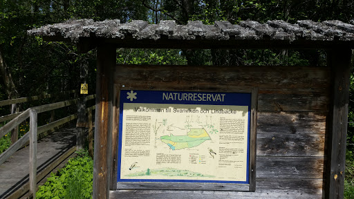 Svanvikens Naturreservat 