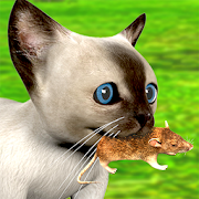 Hungry Cat vs Mouse Chase 1.0.5 Icon