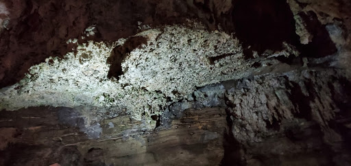 Sterkfontein Caves & Hartebeespoort Mountain South Africa 2019