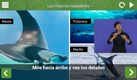 Museo Naturaleza y Hombre Screenshots 10