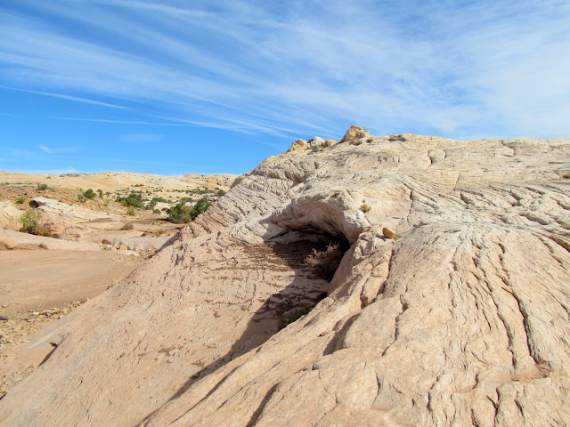 The rim of South Temple Wash, with debris in the center showing how high the last flash flood reached