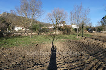 terrain à Colombières-sur-Orb (34)