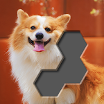 Cover Image of Скачать Block Hexa Jigsaw Puzzle 1.1.0 APK