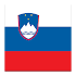 Beginner Slovenian1.0