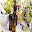Top 5 Oils for glowing skin Download on Windows