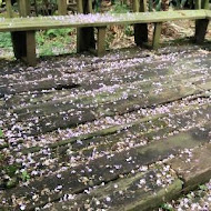 千樺花園餐廳