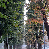 In prospttiva............d'autunno di 