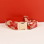 Dog collar01