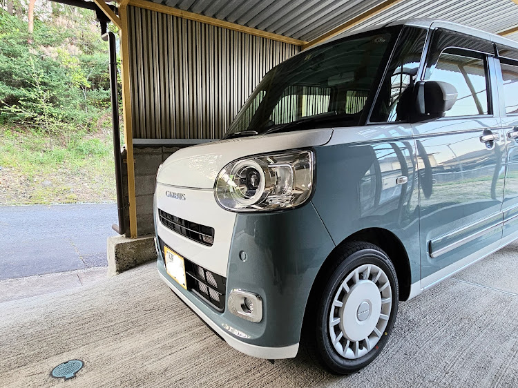 アルトワークスの愛車の横顔に関するカスタム事例の投稿画像2枚目