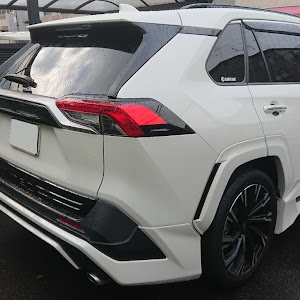 RAV4 MXAA54