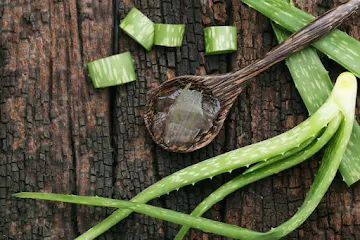 home-remedies-aloevera