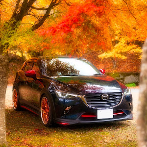 CX-3 DKEFW