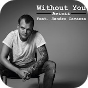 Without You - Avicii Songs & Lyrics 1.0 Icon