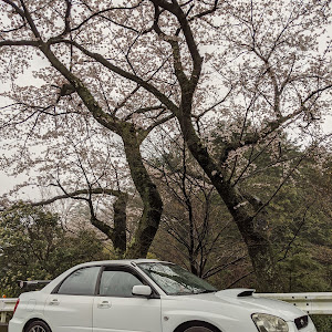 インプレッサ WRX STI GDB