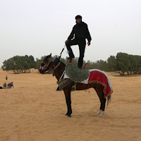 Tuaregh di 