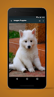 How to install Images Puppies 1.0 apk for pc
