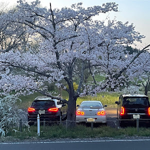 スカイライン GT-R BNR34