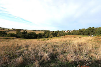 terrain à Saint-Marcel-de-Félines (42)