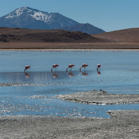 Lagune Boliviane di 