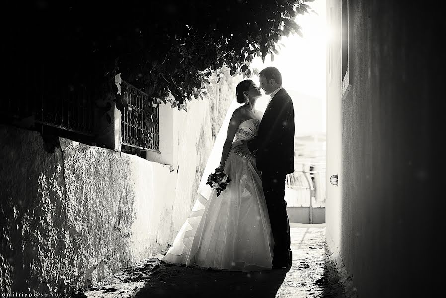 Wedding photographer Dmitriy Puls (pulse). Photo of 15 January 2013