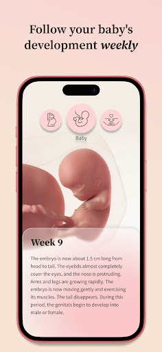 Screenshot Preglife - Pregnancy Tracker