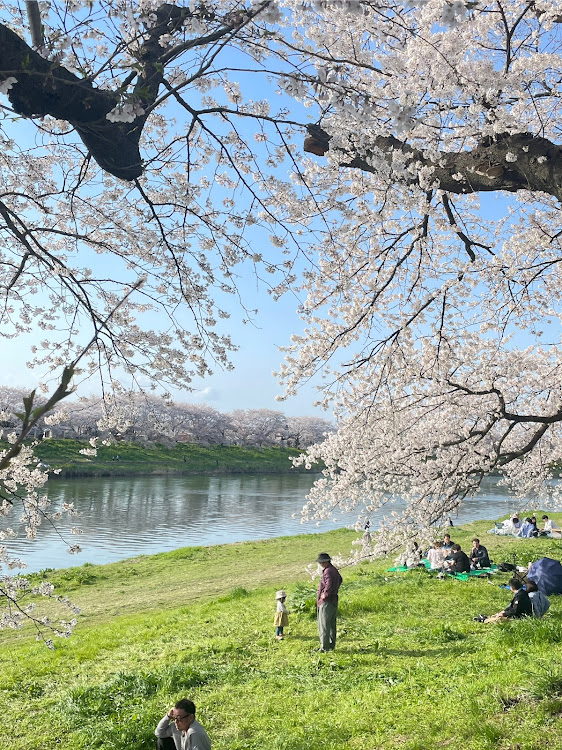 の投稿画像3枚目