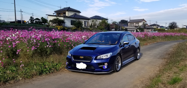 WRX S4のコスモス畑でコラボ・秋の名物に関するカスタム事例の投稿画像1枚目