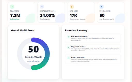 InstaAudit - Profile Report Tool screenshot 2