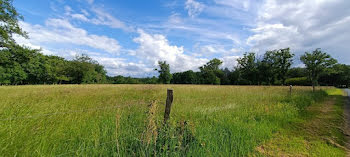 terrain à Orléat (63)