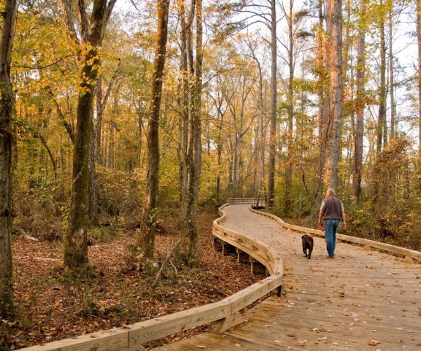 Big Creek Greenway Trail