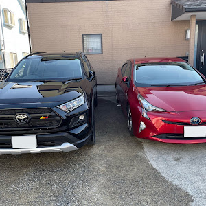 RAV4 MXAA54