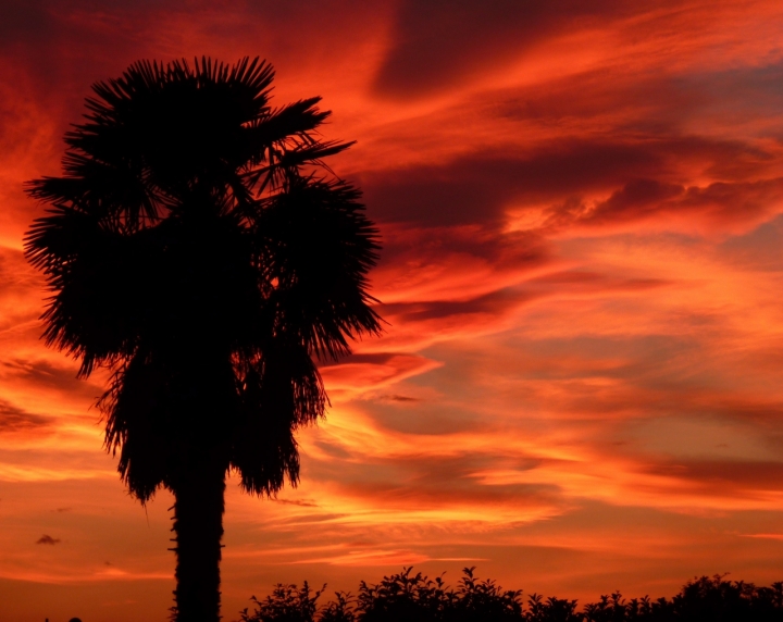 TRAMONTO IN PIANURA di milenaB