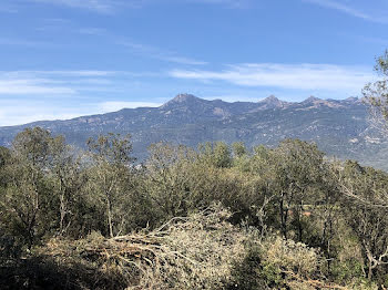 terrain à Figari (2A)