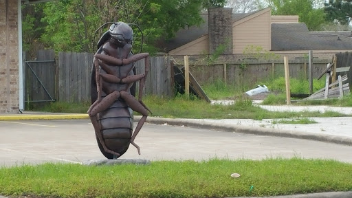 Giant Roach