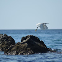 In volo di Paco9165